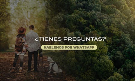 terrenos-en-venta
