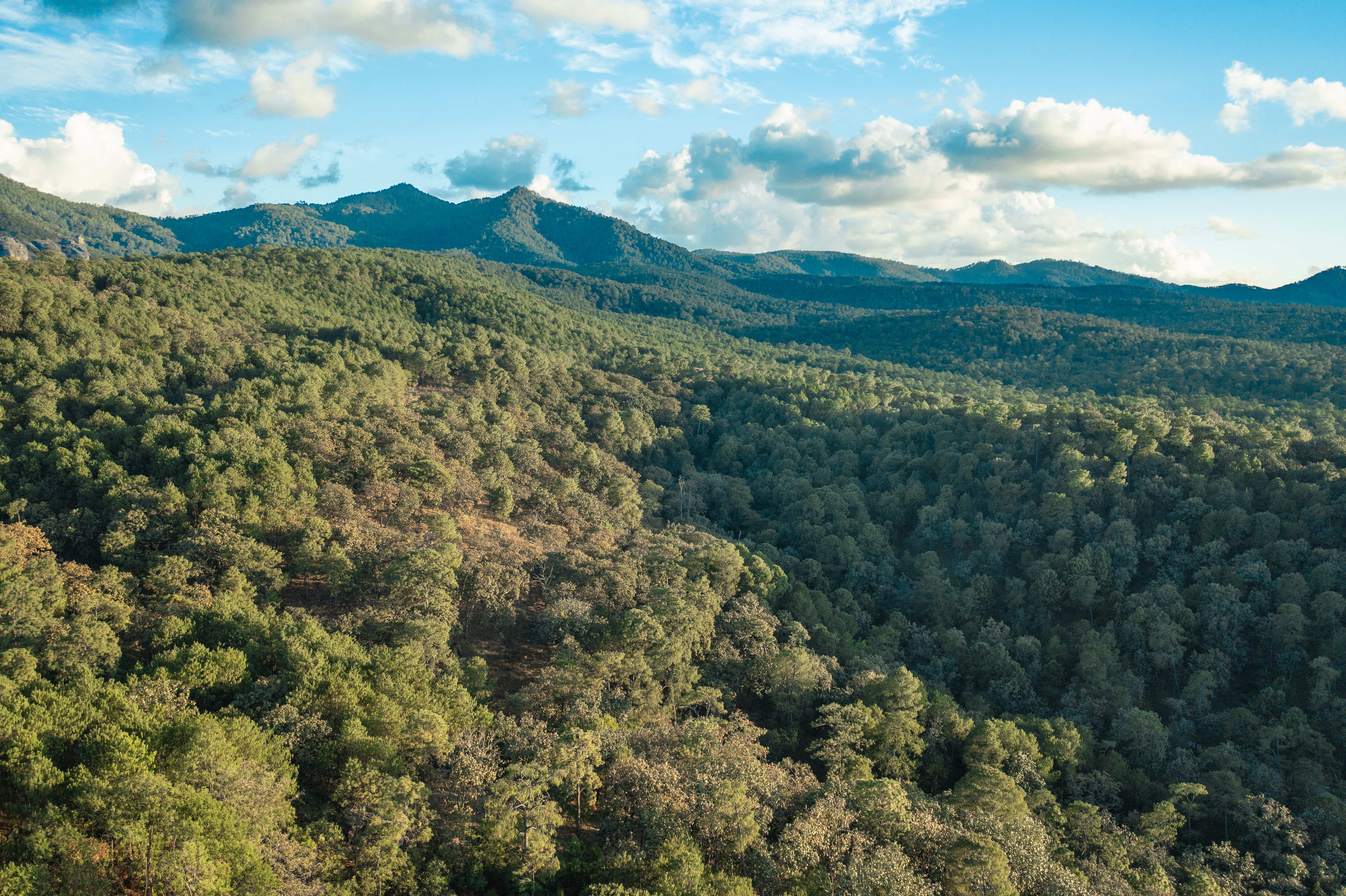 Terrenos en Tapalpa